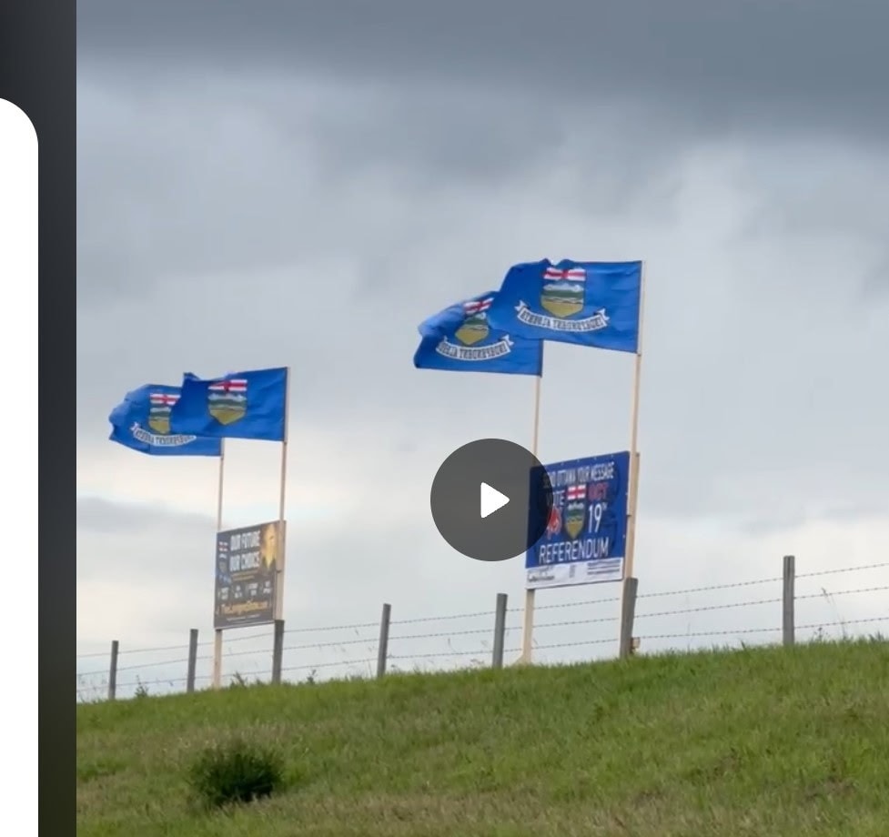Alberta flags flying with referendum signage