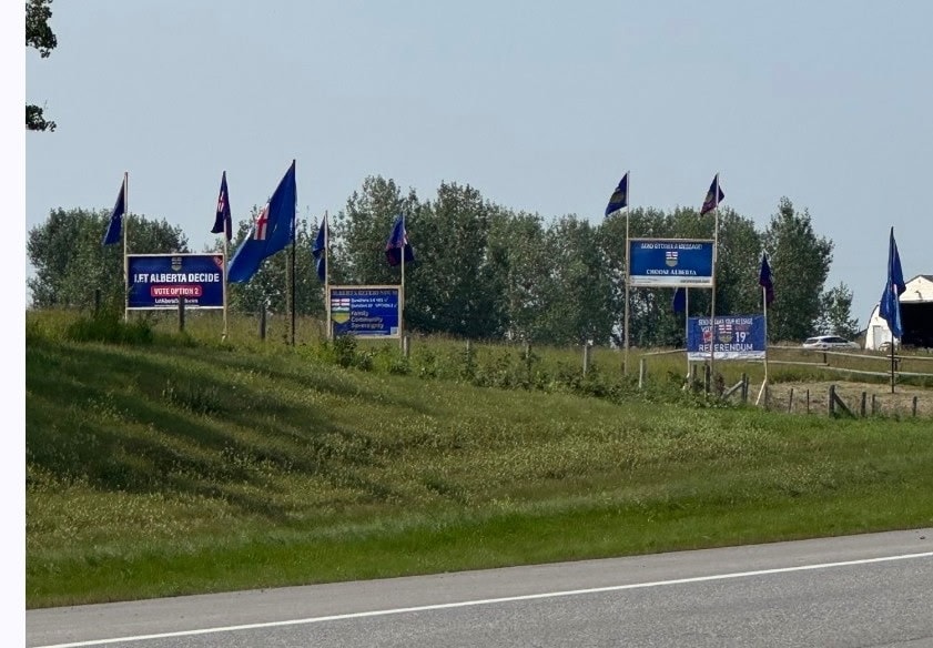 Row of Alberta flags and referendum signs along highway
